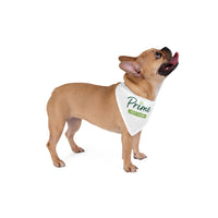 PrimePaw Bandana